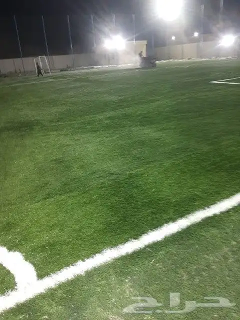 معلم العشب نجيله حدائق صناعي بيت استراحة أرضي تر يبات 1