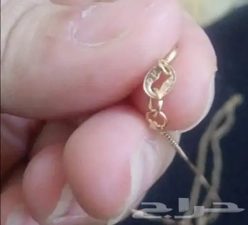 سلسال مطلي بالذهب للبيع 2