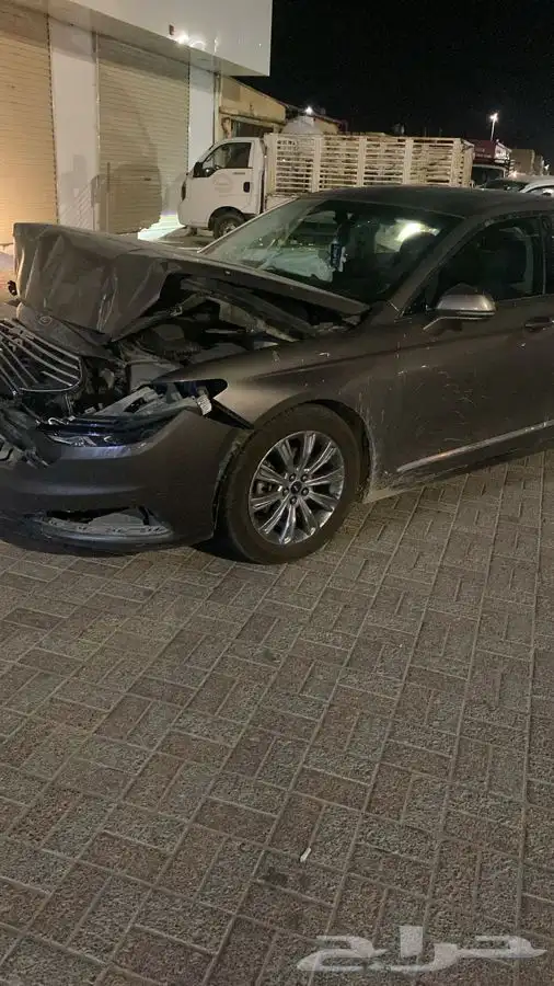 تورتس 2022 مصدوم 5