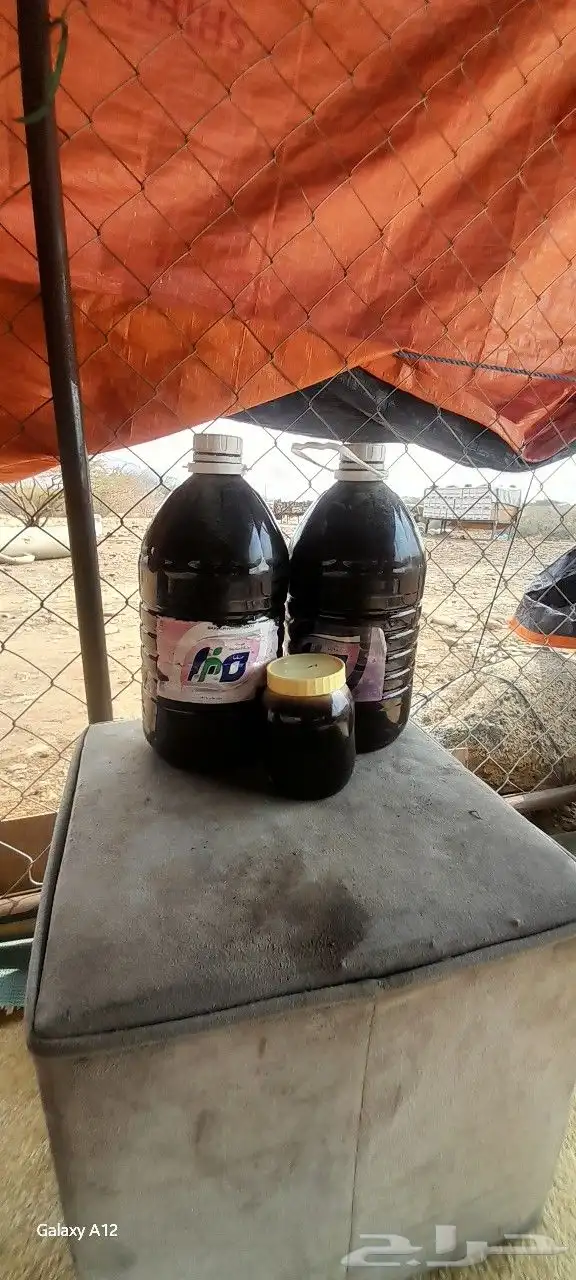 عسل شوكه رقم 1 0