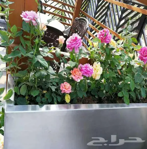 احواض زرع كبيرة الهفوف جاهزة فايبر بسعر المصنع 76