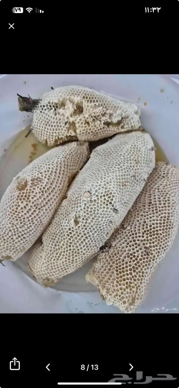 عسل شمع سدر تهامة حر 6