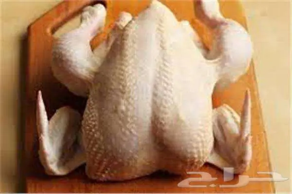 دجاج لاحم طازج 1