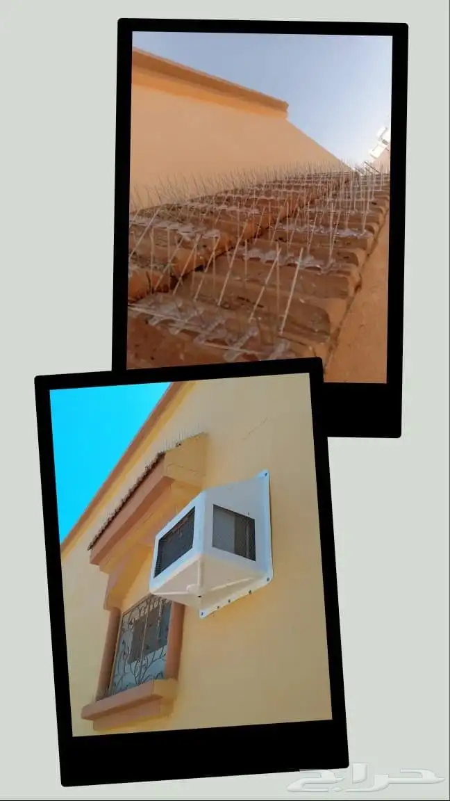 طاردوالحمام تركيب شبابيك شوك 6