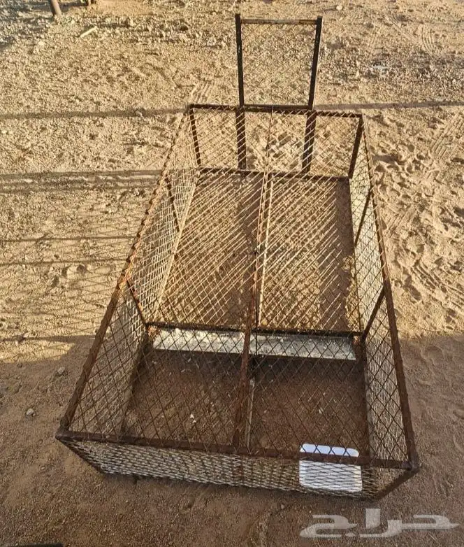 مصيده للثعل ولا للذيب ولا وبران بريه 0