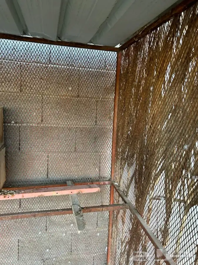 للبيع شبك 2ونص في 2ونص بقلاوه صغير قوي 4