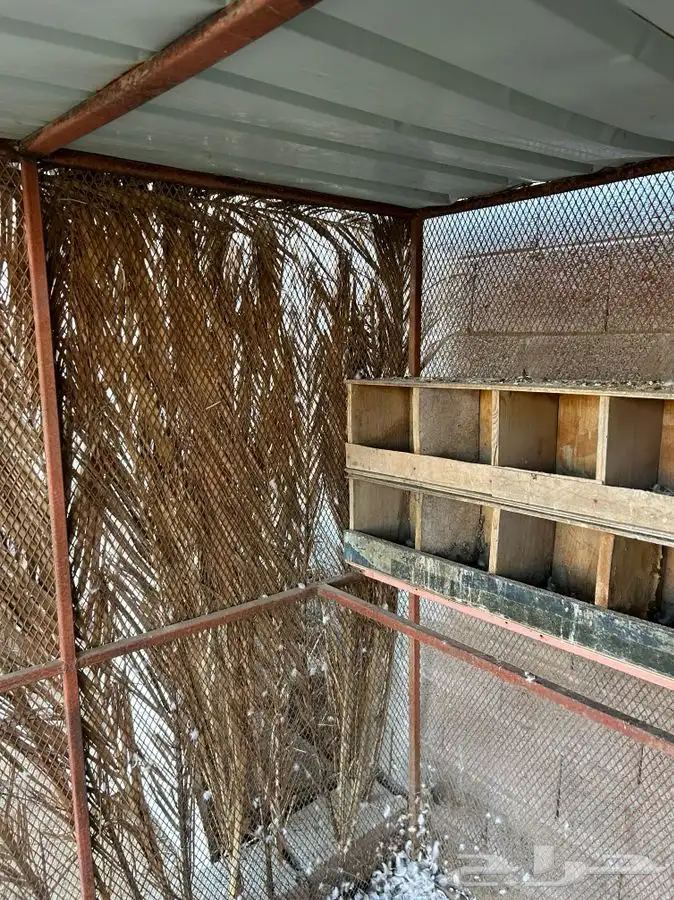 للبيع شبك 2ونص في 2ونص بقلاوه صغير قوي 5