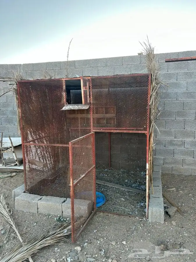 للبيع شبك 2ونص في 2ونص بقلاوه صغير قوي 3