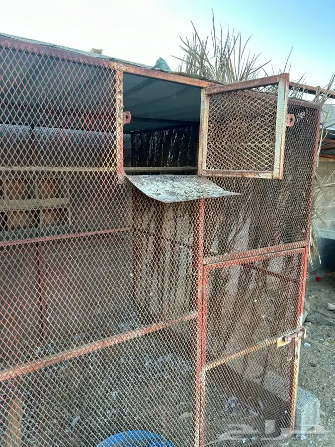 للبيع شبك 2ونص في 2ونص بقلاوه صغير قوي 2