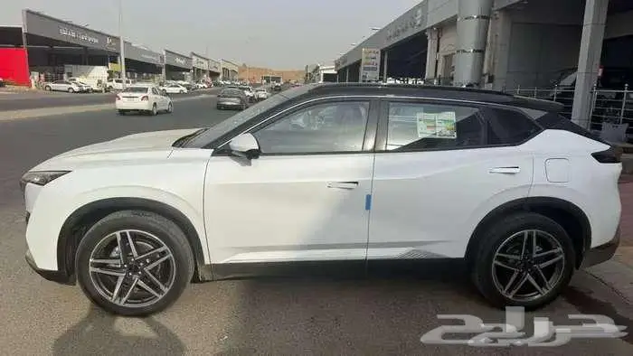 دونج فينج ميج فل كامل 2026 6