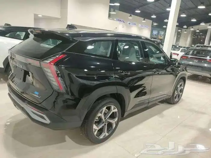 جيلى ستار راى 2024 جميع الفئات عروض خاصه 6