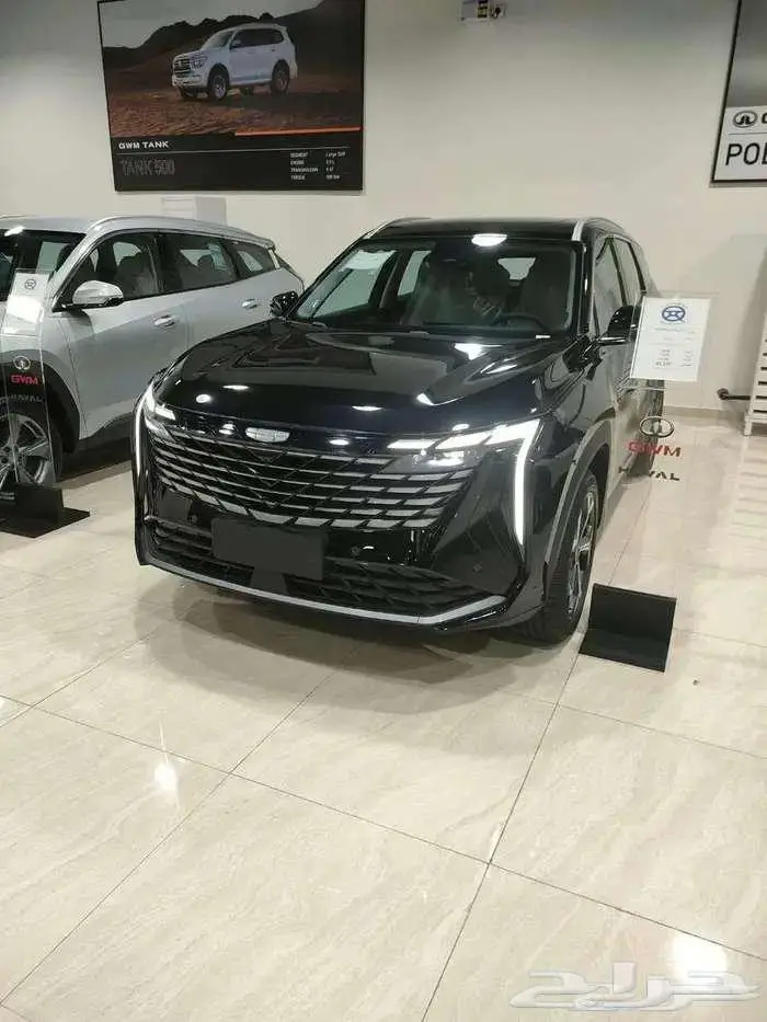 جيلى ستار راى 2024 جميع الفئات عروض خاصه 5