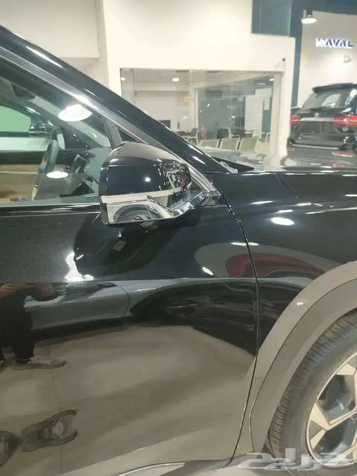 جيلى ستار راى 2024 جميع الفئات عروض خاصه 4