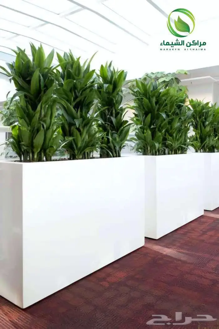 احواض زرع كبيرة الهفوف جاهزة فايبر بسعر المصنع 13