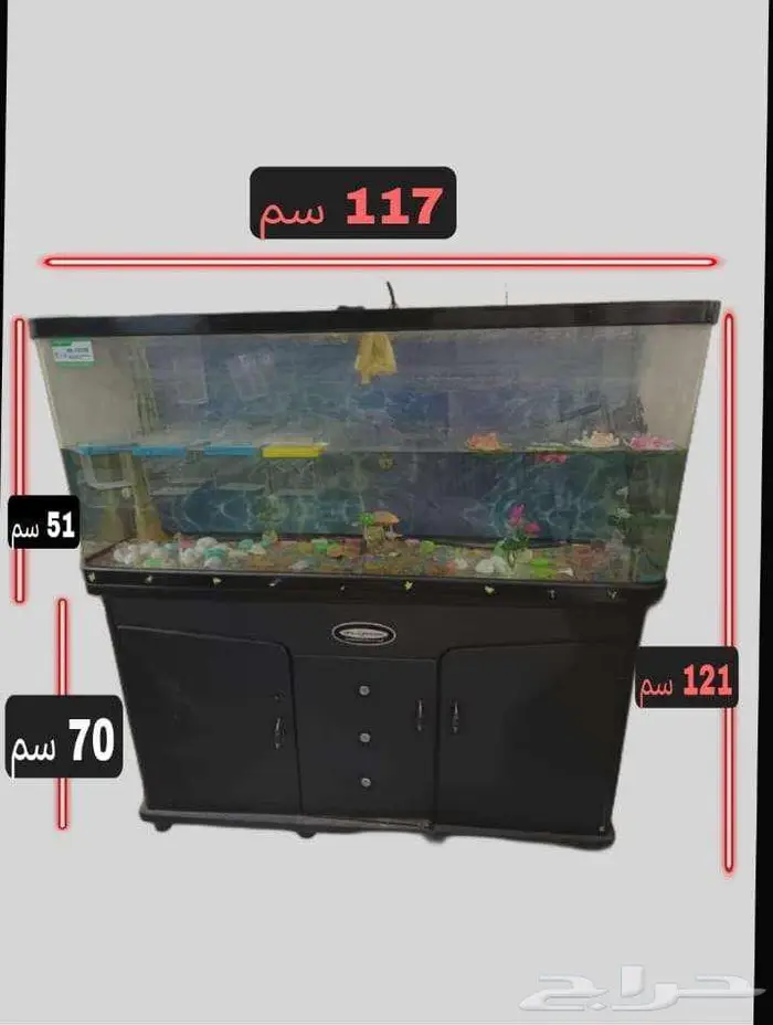 حوض سمك زينة بمقاس مناسب 0