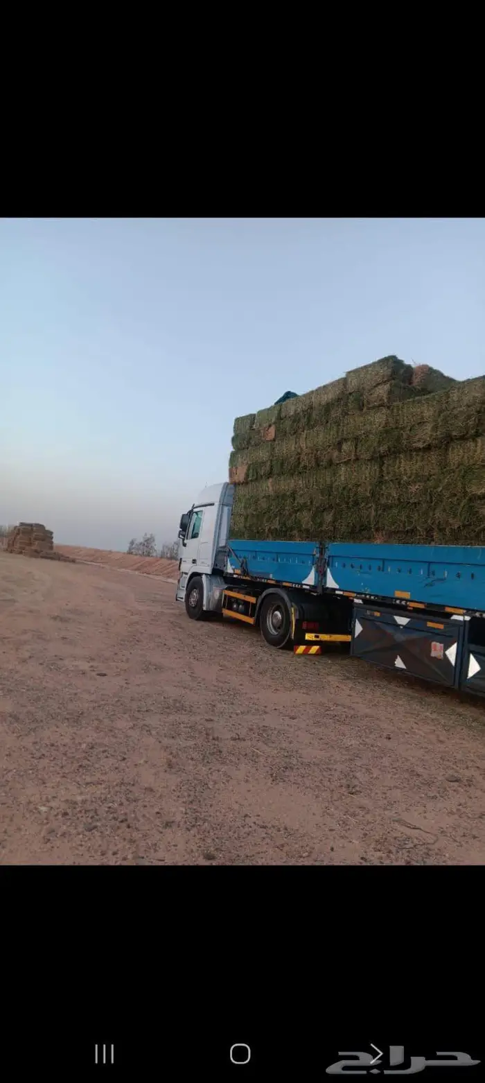 راس تريلا مارسيدس 1