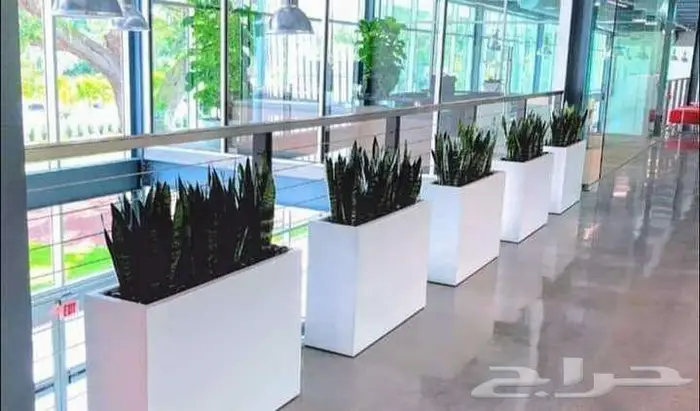 احواض زرع كبيرة الهفوف جاهزة فايبر بسعر المصنع 58