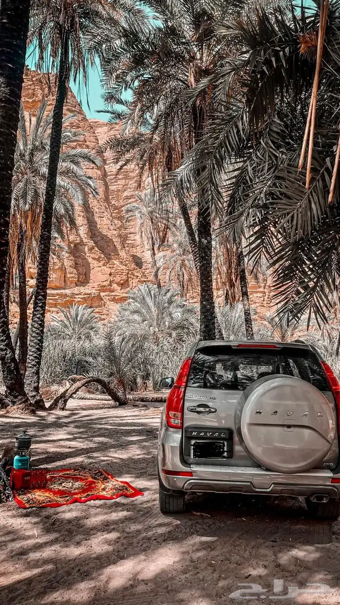 هافال h9 فل كامل 2