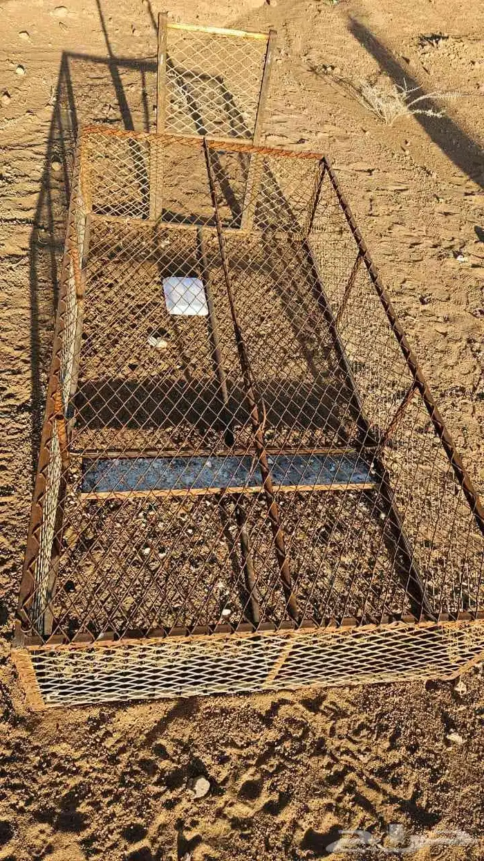 مصيده للثعل ولا للذيب ولا وبران بريه 2