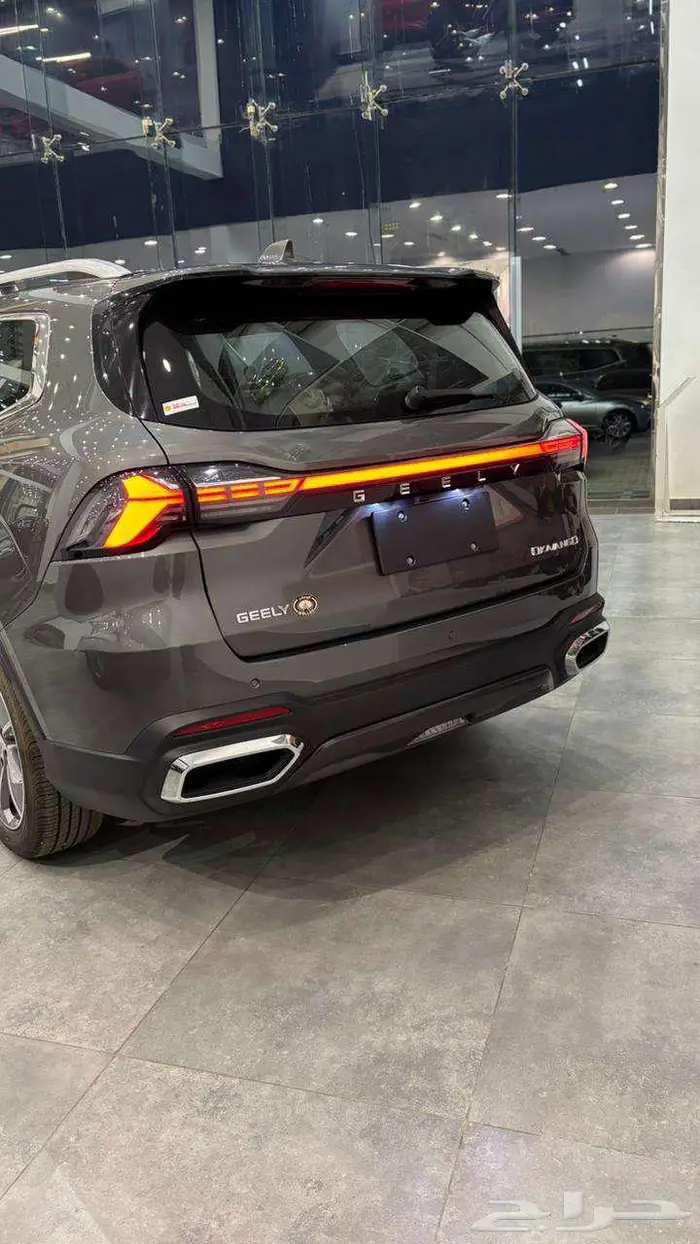 جيلي اوكافانجو 2025 3