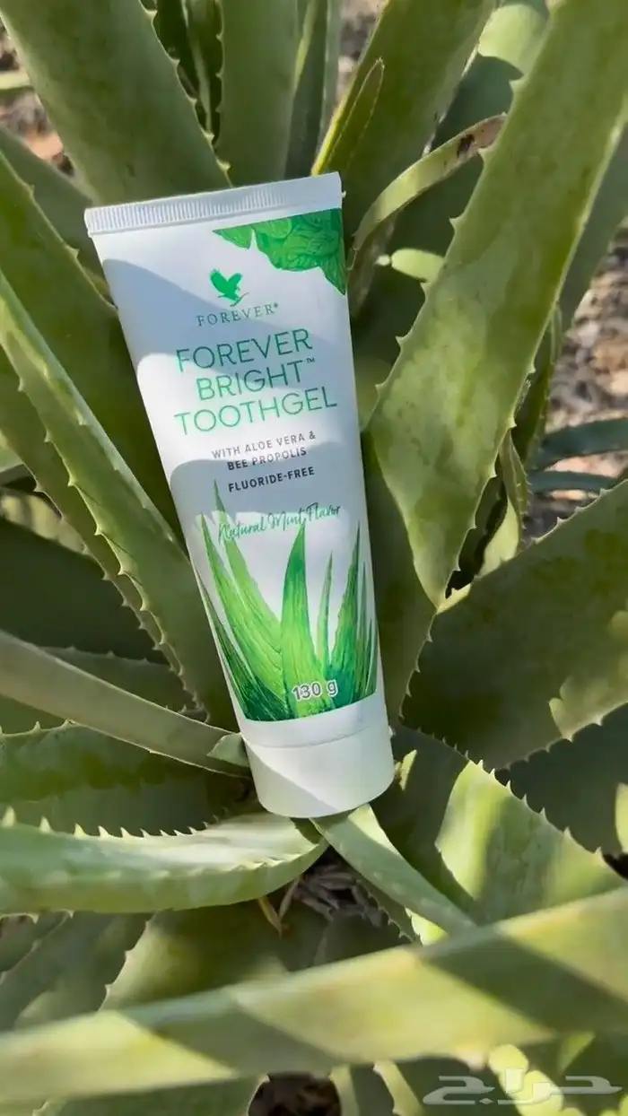 معجون أسنان شركة فوريفر 1