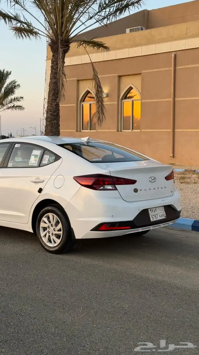 النترا 2020 وارد الوعلان 4