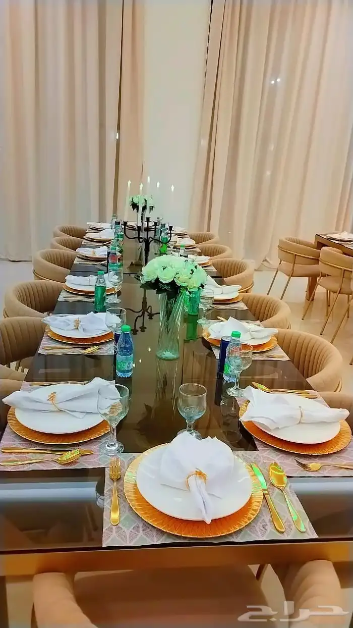 منسق حفلات 2