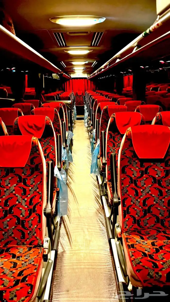 باص للايجار 5