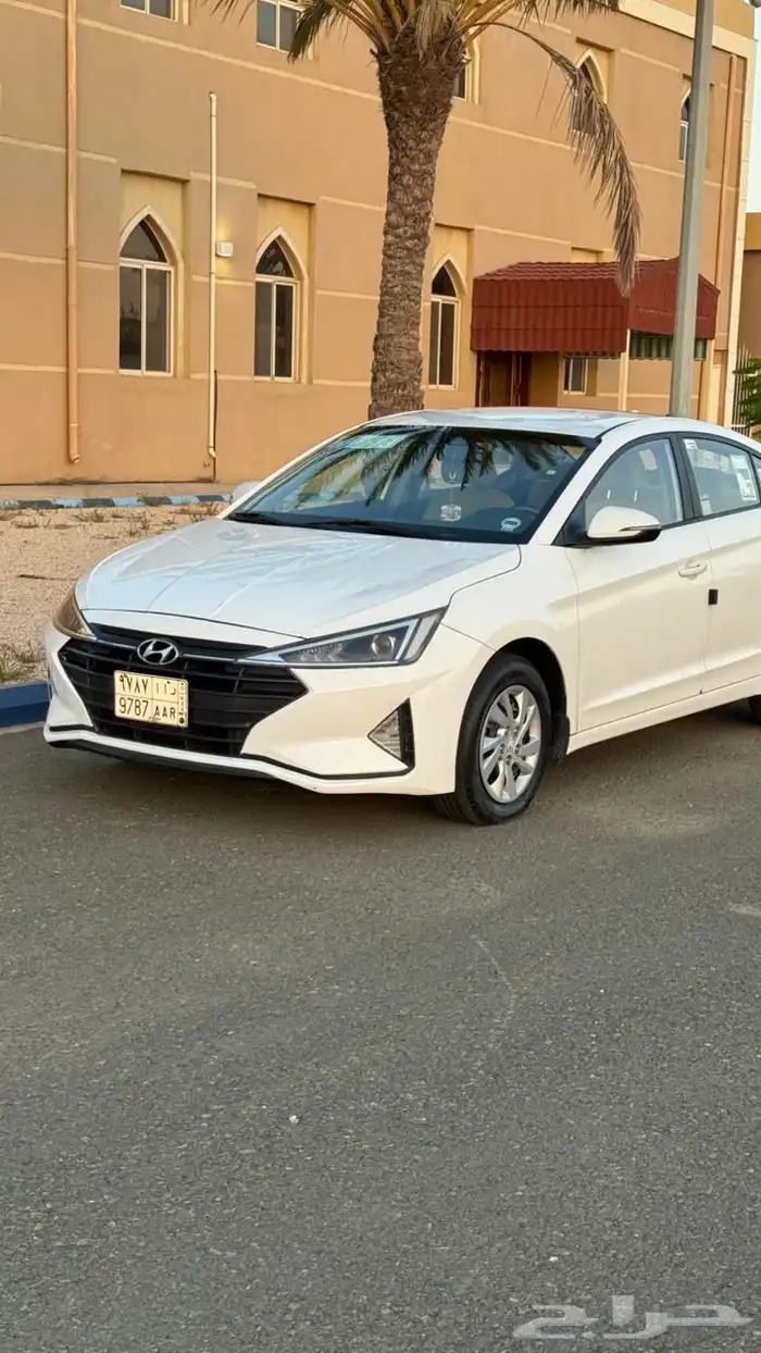 النترا 2020 وارد الوعلان 12