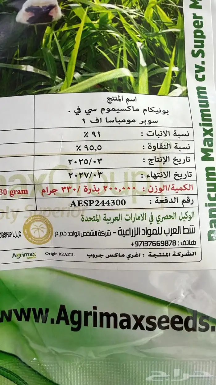 بذور بونيكام أسباني F1 2