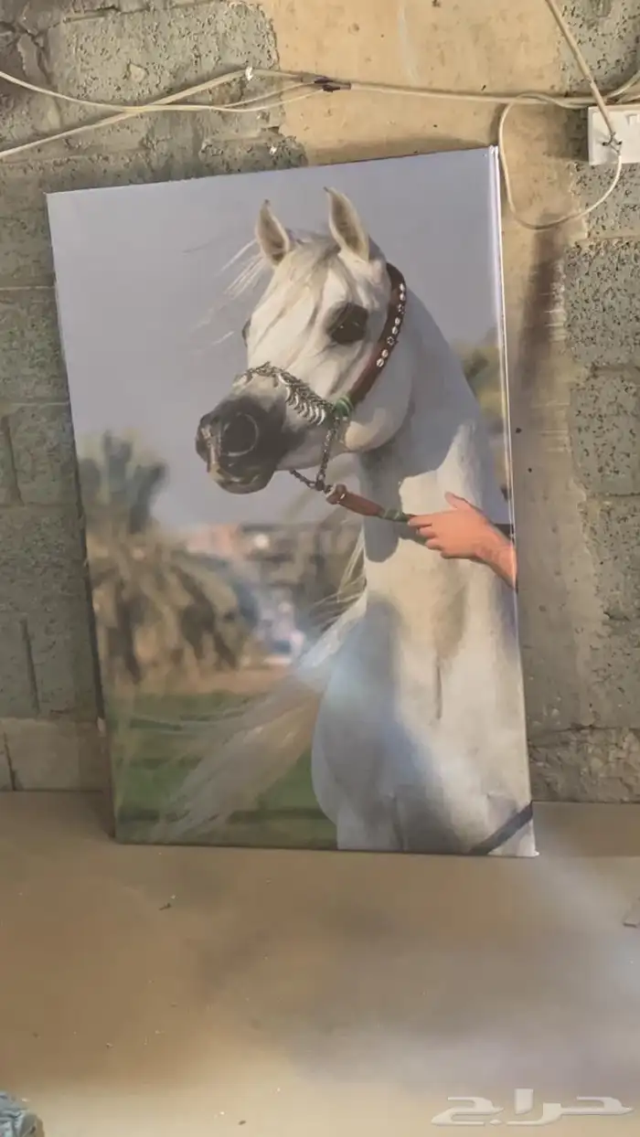 لوحات جدارية طباعة بنر شكل يليق ب المجالس وبيوت شعر 7