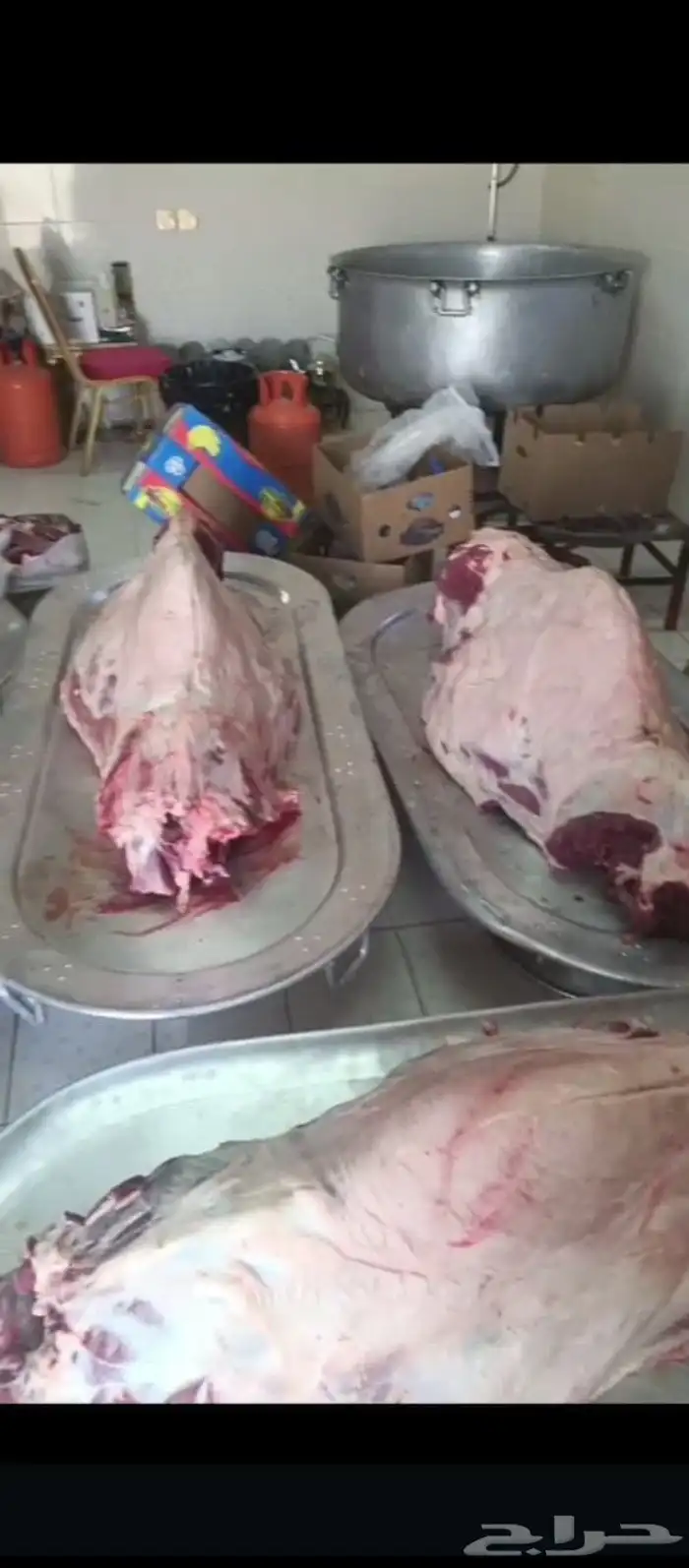 طباخ متنقل مع المعاميل داخل وخارج الرياض 6