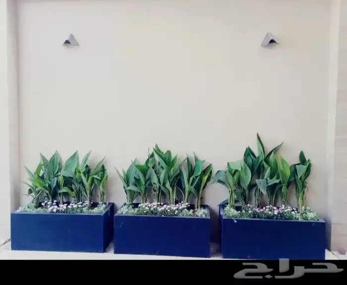 منسق حدائق وتركيب جميع شبكات الري العادي والاتمتك والدكور 3