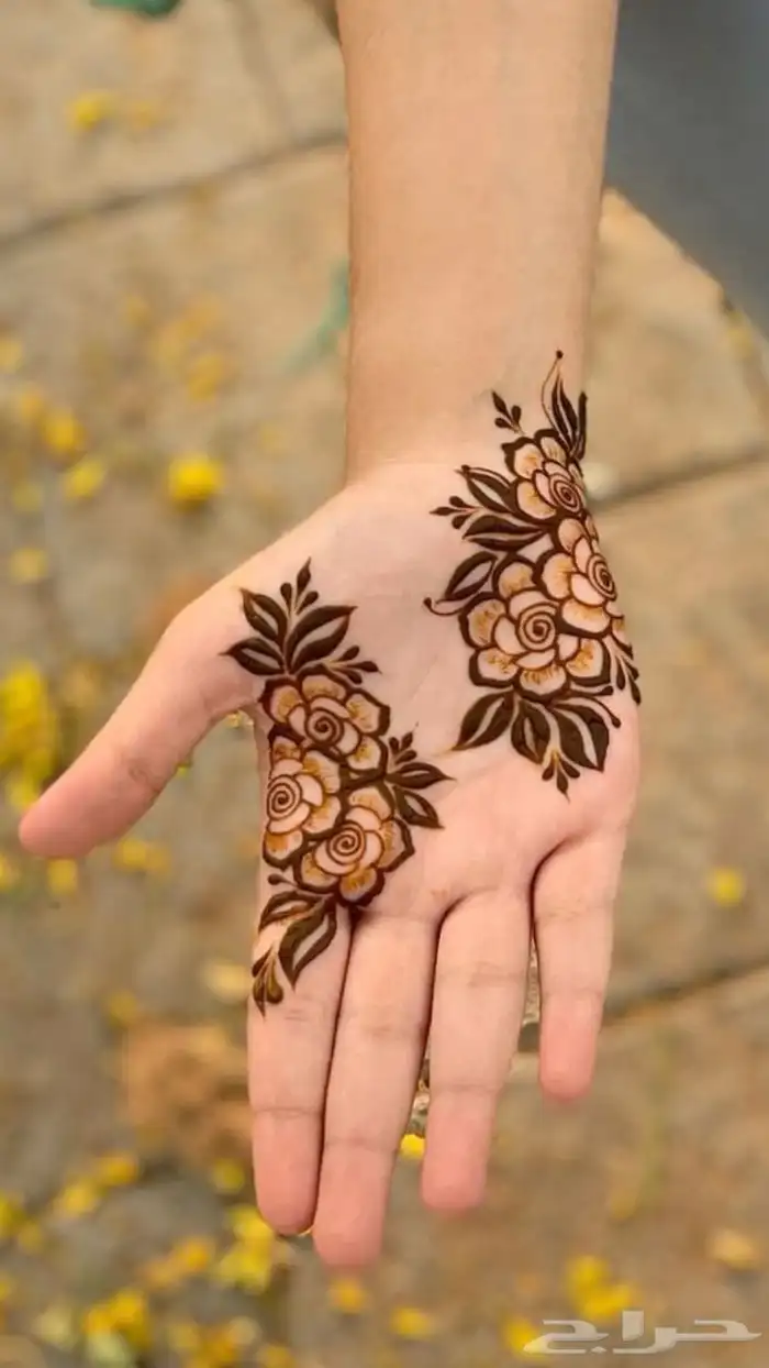 مصفف شعر استشوار تنظيف بشرة أفضل الأسعار 3