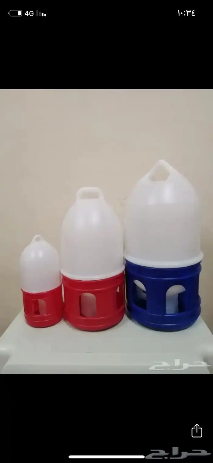 اكسسوارات. طيور. دجاج. حمام. 1