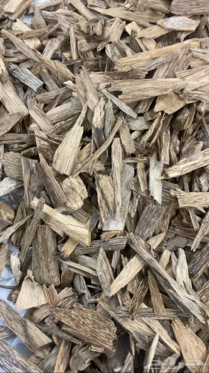 عود سومطري طبيعي ( بيع بسعر الجملة للمحلات وللمستخدم ) 1