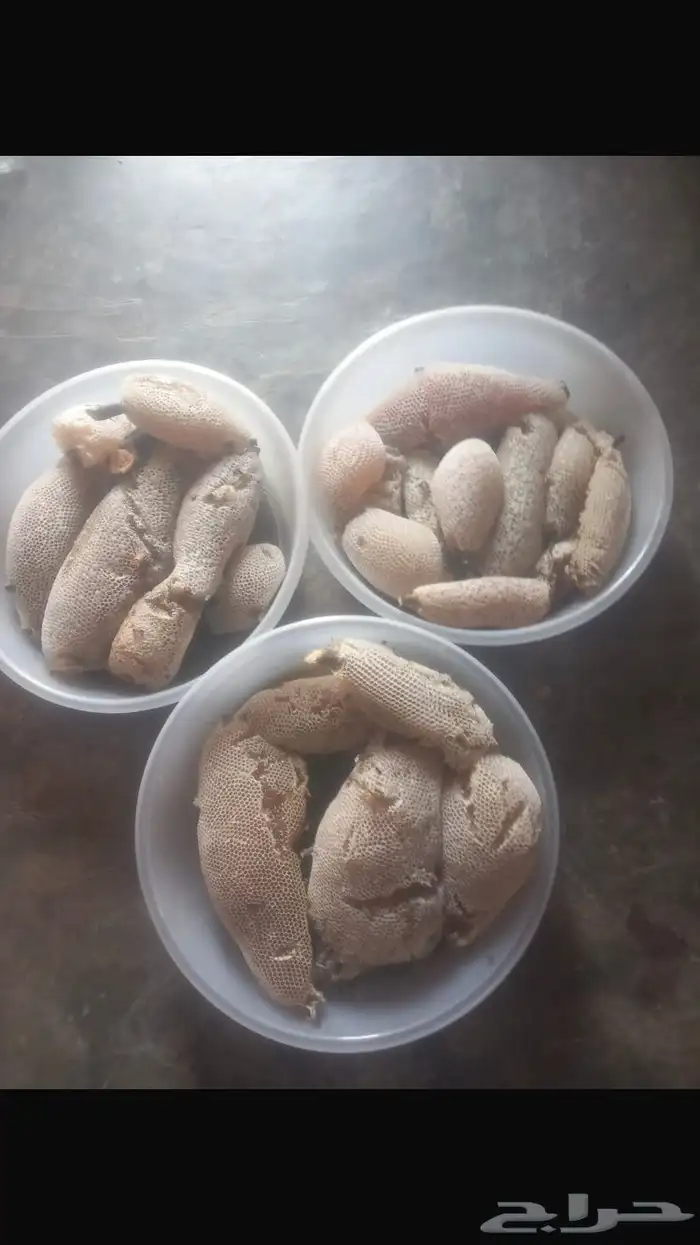 عسل سدره طازج 0