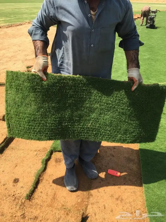 تنسيق حدائق 2