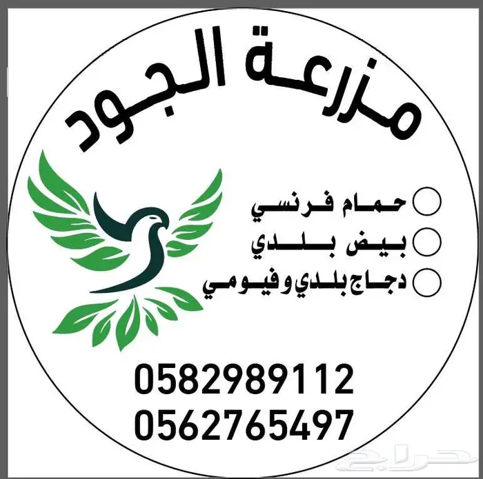 زغاليل حمام فرنسي أبيض وسلفر 0