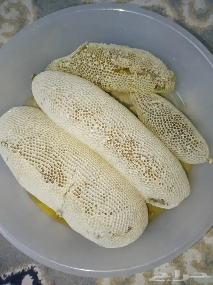 عسل سدر حر على شرط الكيلو ب 150 0