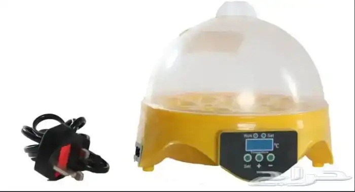 فقاسه 7 بيضات 0