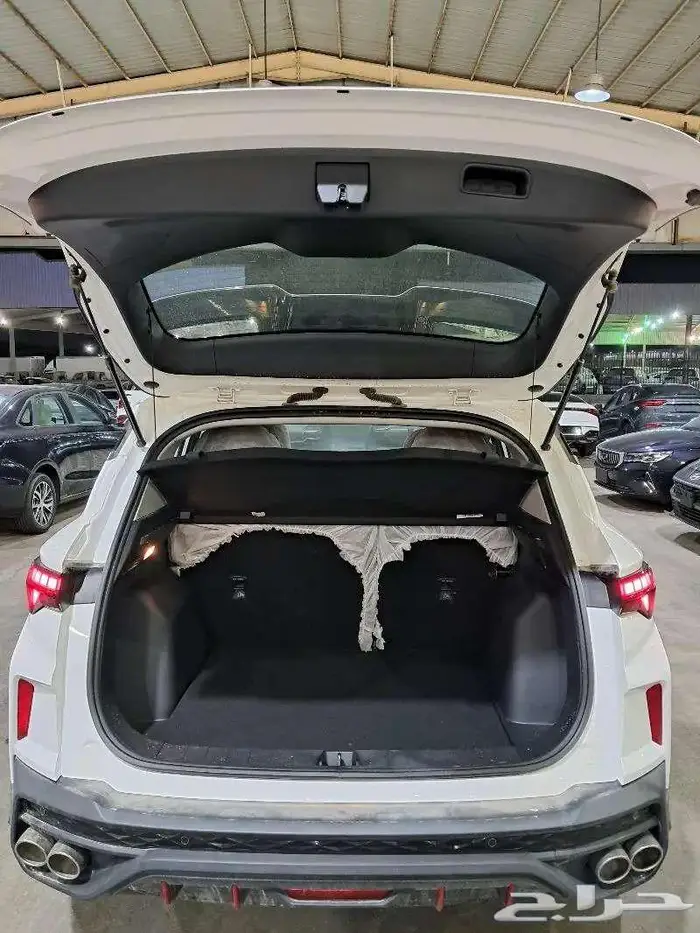 جيلي كول راي ستاندر 2024 10