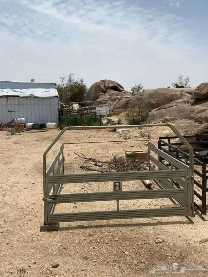 للبيع شد شاص 3