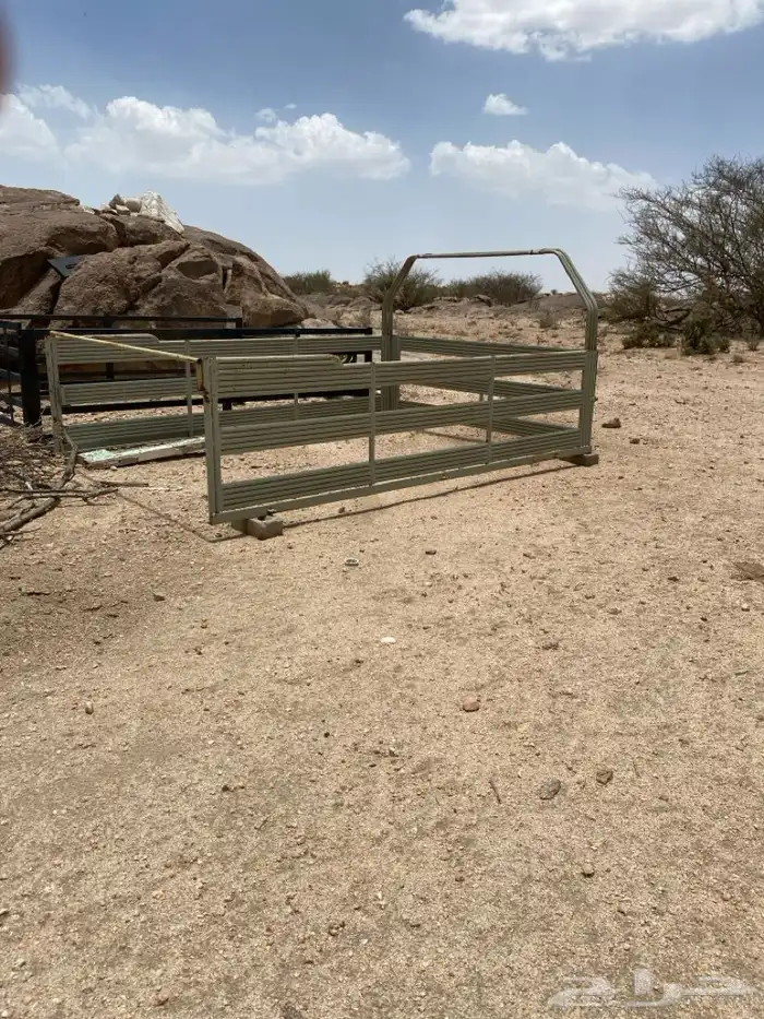 للبيع شد شاص 2