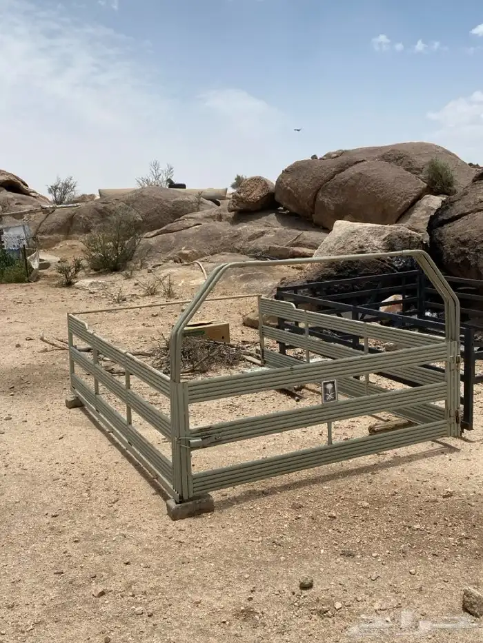 للبيع شد شاص 0