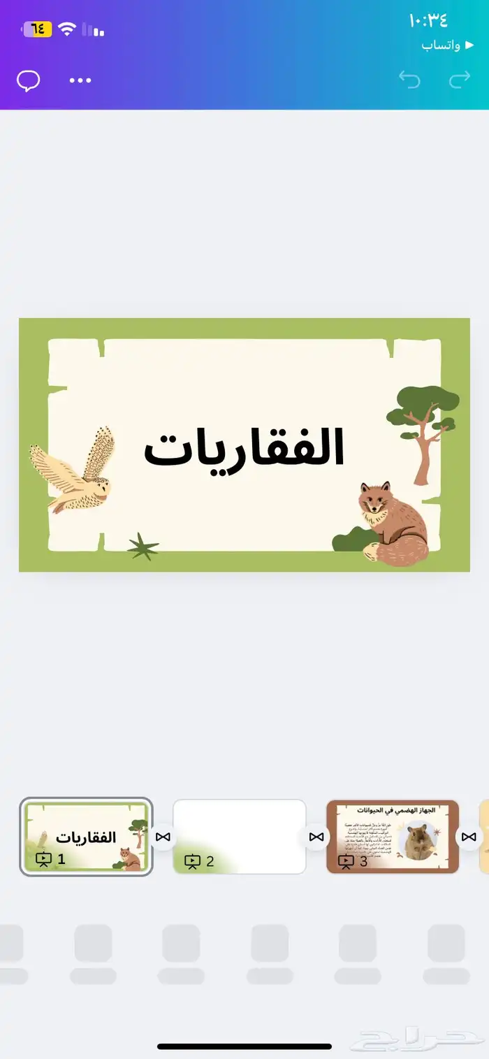 عروض كانفا 1