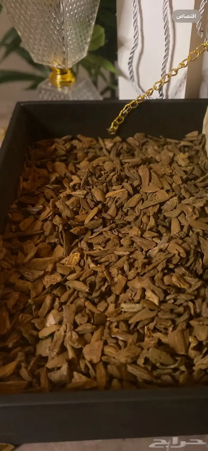 عرض عود مروكي ودهن عود طبيعي 1