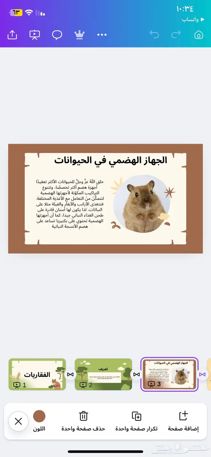 عروض كانفا 2