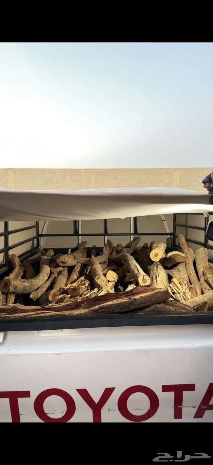 حطب مستورد سمر 0