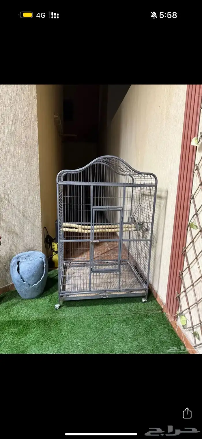 قفص ببغاوات 0